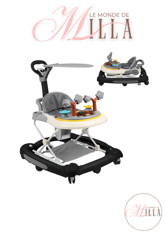 Trotteur Évolutif 2-en-1